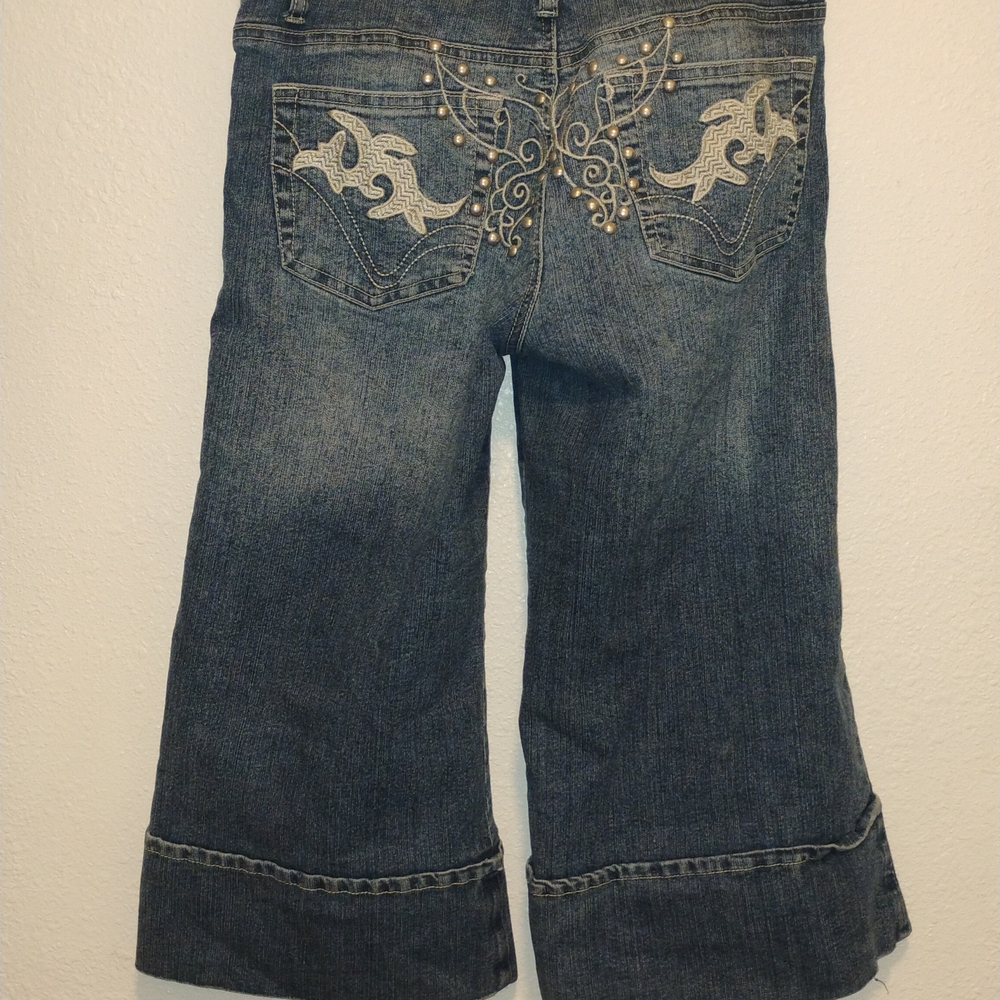 Vintage Y2K Apollo Jeans Blue Flare & Wide Leg Denim